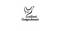  GALLINAS CAMPECHANAS